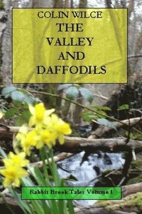 bokomslag The Valley and Daffodils (Rabbit Brook Tales Volume 1)