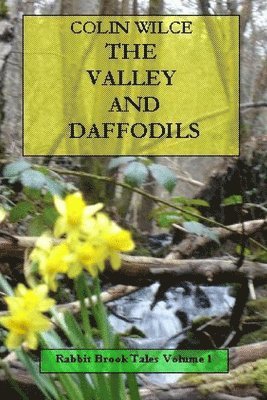 bokomslag The Valley and Daffodils (Rabbit Brook Tales Volume 1)