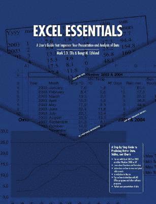 Excel Essentials 1