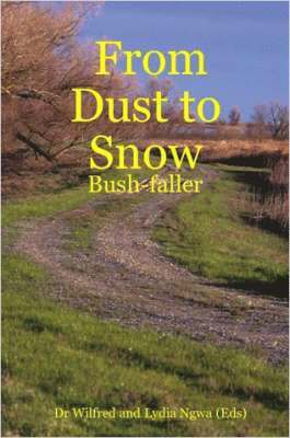 From Dust to Snow 1