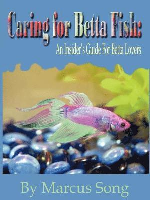Caring For Betta Fish 1