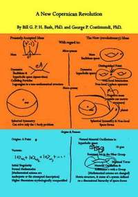 bokomslag New Copernican Revolution