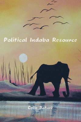 bokomslag Political Indaba Resource