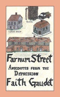 Faith Gaudet - Farnum Street, Häftad