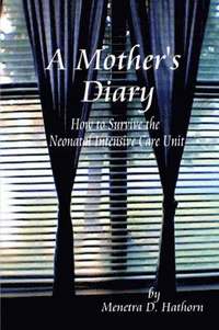 bokomslag A Mother's Diary