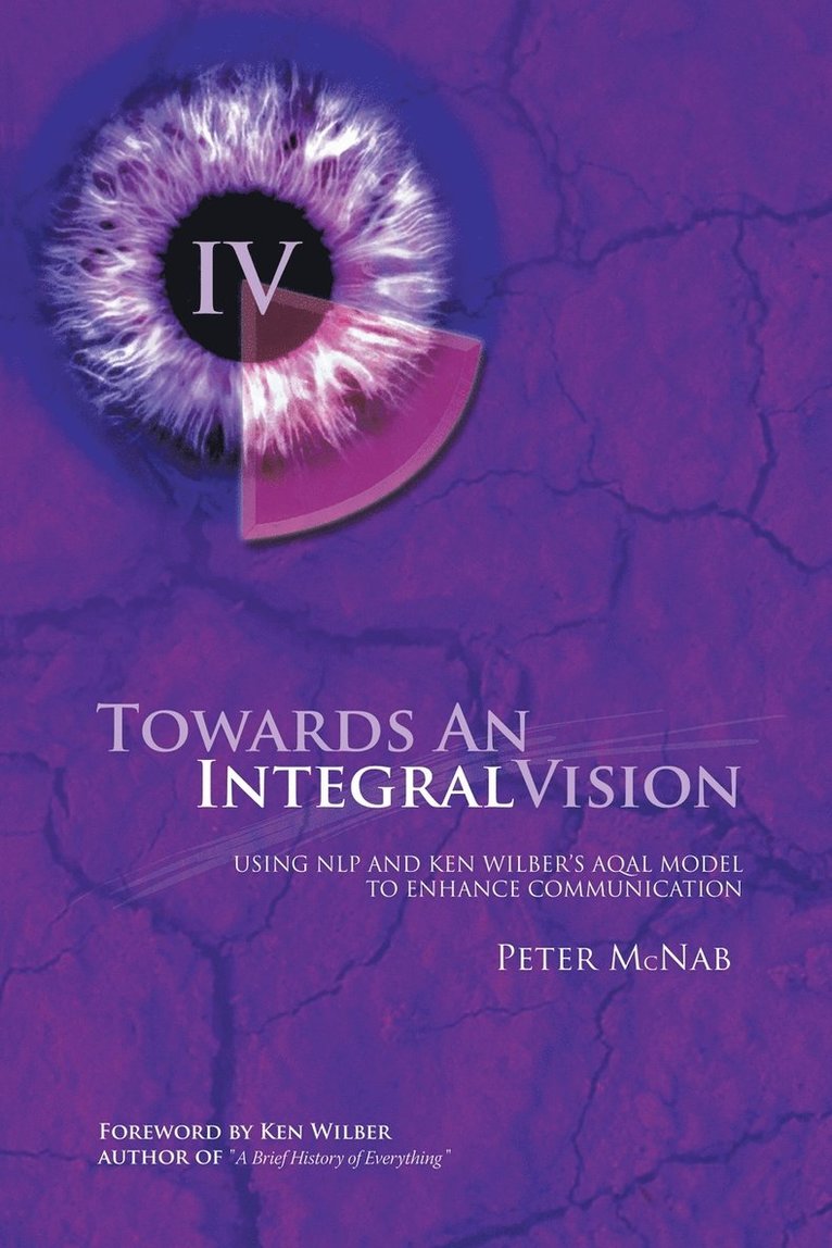 Towards an Integral Vision 1
