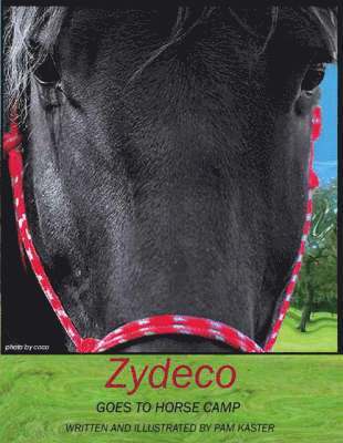 bokomslag Zydeco Goes to Horse Camp