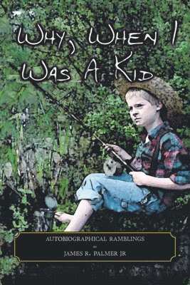 James R Palmer Jr - Why, When I Was a Kid, Häftad