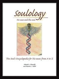 bokomslag Soulology