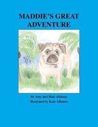 bokomslag Maddie's Great Adventure