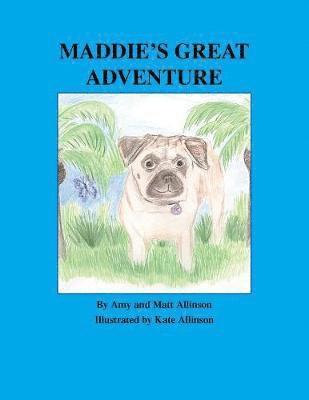 Maddie's Great Adventure 1