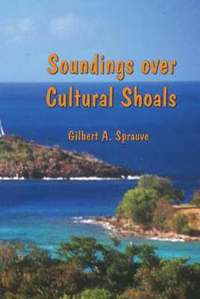 bokomslag Soundings Over Cultural Shoals