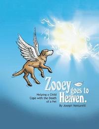 bokomslag Zooey Goes to Heaven