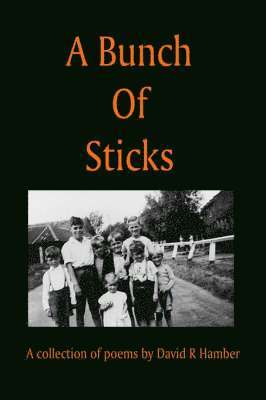 A Bunch of Sticks 1