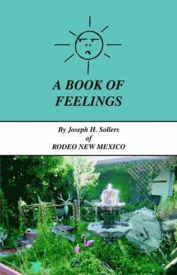 bokomslag A Book of Feelings