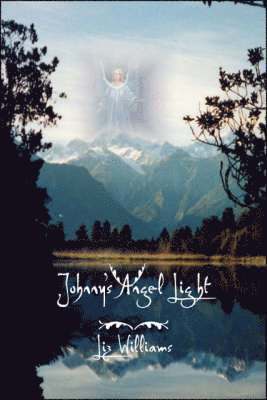 bokomslag Johnny's Angel Light