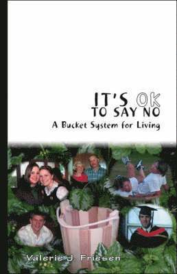 bokomslag It's OK to Say No