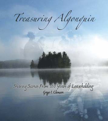 bokomslag Treasuring Algonquin