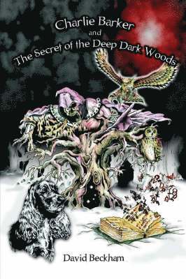 bokomslag Charlie Barker and the Secret of the Deep Dark Woods