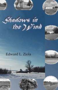 bokomslag Shadows in the Wind