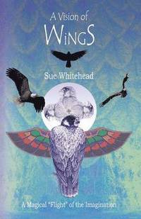 bokomslag A Vision of Wings