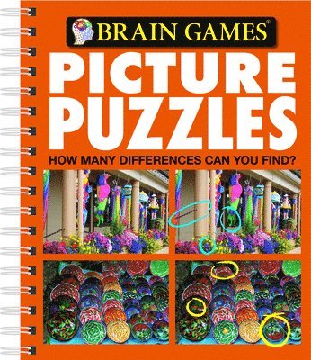 Publications International Ltd, Brain Games - Brain Games - Picture Puzzles #5: How Many Differences Can You Find?: Volume 5, Häftad