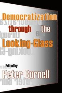 bokomslag Democratization Through the Looking-glass