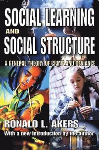 bokomslag Social Learning and Social Structure