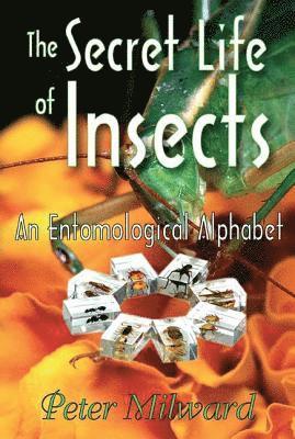 The Secret Life of Insects 1