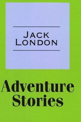 bokomslag Adventure Stories