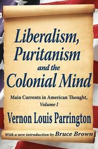 bokomslag Liberalism, Puritanism and the Colonial Mind