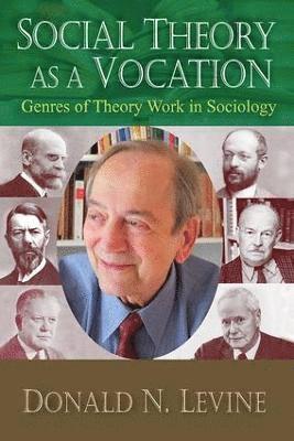 bokomslag Social Theory as a Vocation