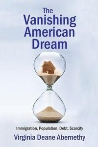 bokomslag The Vanishing American Dream