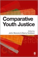bokomslag Comparative Youth Justice