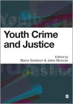 Youth Crime and Justice