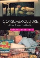 bokomslag Consumer Culture