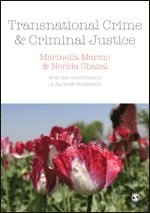 bokomslag Transnational Crime and Criminal Justice