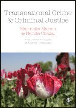 Transnational Crime and Criminal Justice 1