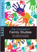 bokomslag Key Concepts in Family Studies