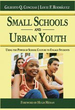bokomslag Small Schools and Urban Youth
