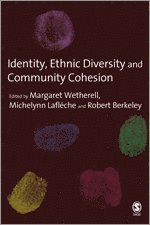 bokomslag Identity, Ethnic Diversity and Community Cohesion