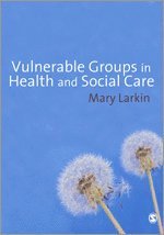 Mary Larkin - Vulnerable Groups in Health and Social Care, Inbunden