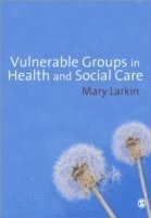 Mary Larkin - Vulnerable Groups in Health and Social Care, Häftad