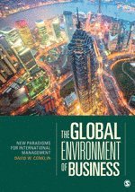 bokomslag The Global Environment of Business