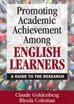 bokomslag Promoting Academic Achievement Among English Learners