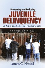 bokomslag Preventing and Reducing Juvenile Delinquency