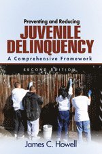 James C. Howell - Preventing and Reducing Juvenile Delinquency, Häftad