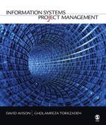 bokomslag Information Systems Project Management