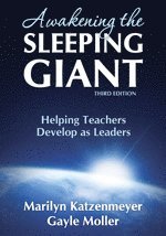 Awakening the Sleeping Giant 1