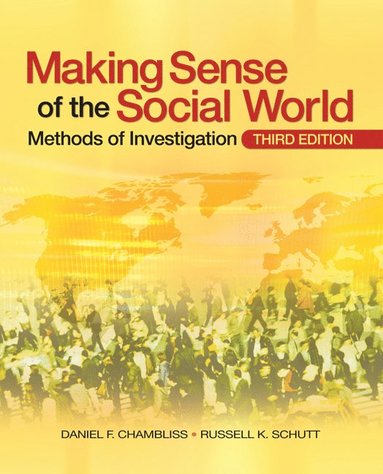 bokomslag Making Sense of the Social World: Methods of Investigation